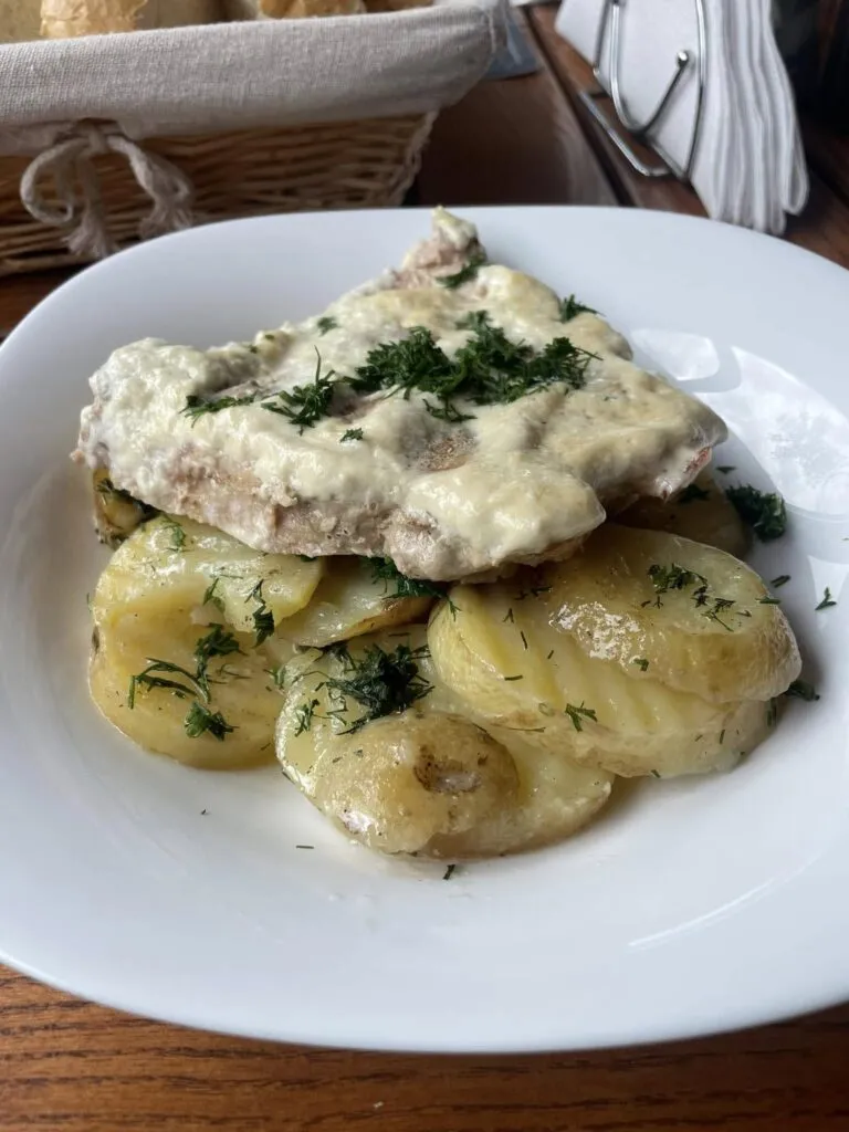 491863945 3246219528869149 2810021250667820844 n